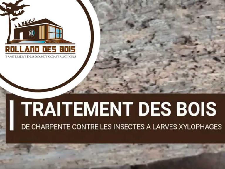 INTERVENTION en Traitement bois contre les insectes à larves xylophages.