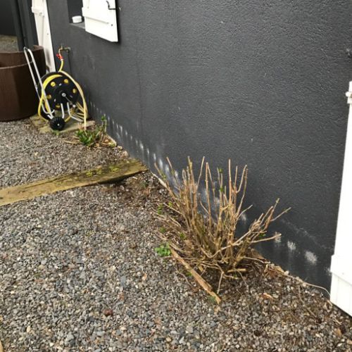 2-Ploemeur-56-Assechement-des-murs-Vannes-rolland-des-bois-Morbihan-56