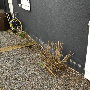 Assèchement des murs humides à Saint-Nazaire - ROLLAND DES BOIS - Loire-Atlantique