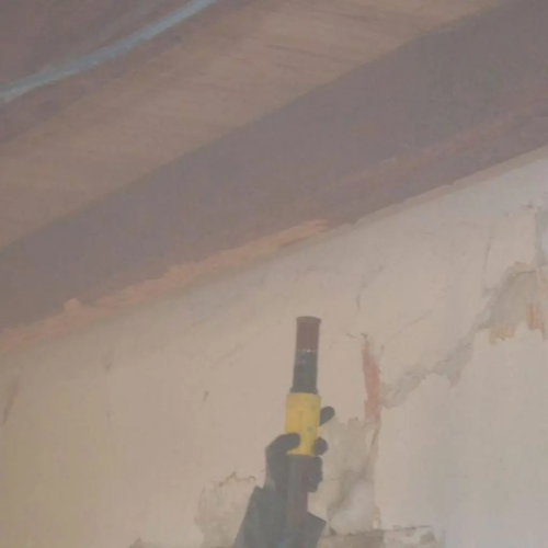 ROLLAND DES BOIS- SAblage des bois à Nantes, châteaubriant, Saint-Nazaire, Machecoul - Loire Atlantique (44)