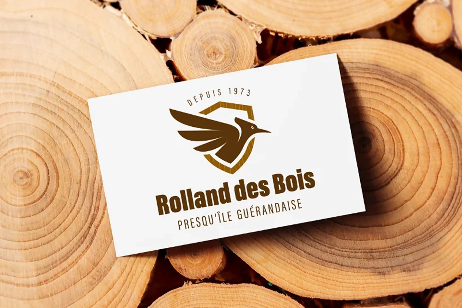 diagnostic bois charpente Bretagne