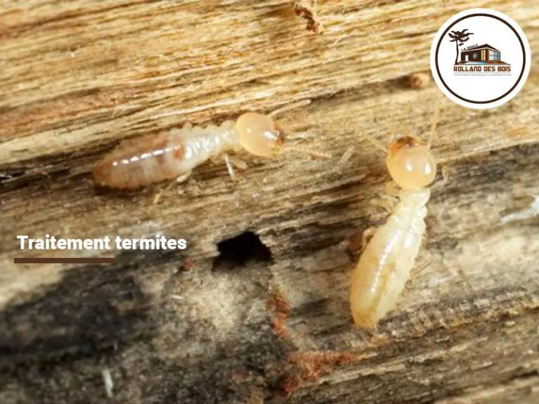 Traitement d’insectes xylophages à Pontivy dans le Morbihan, chantier effectué par Rolland des Bois.