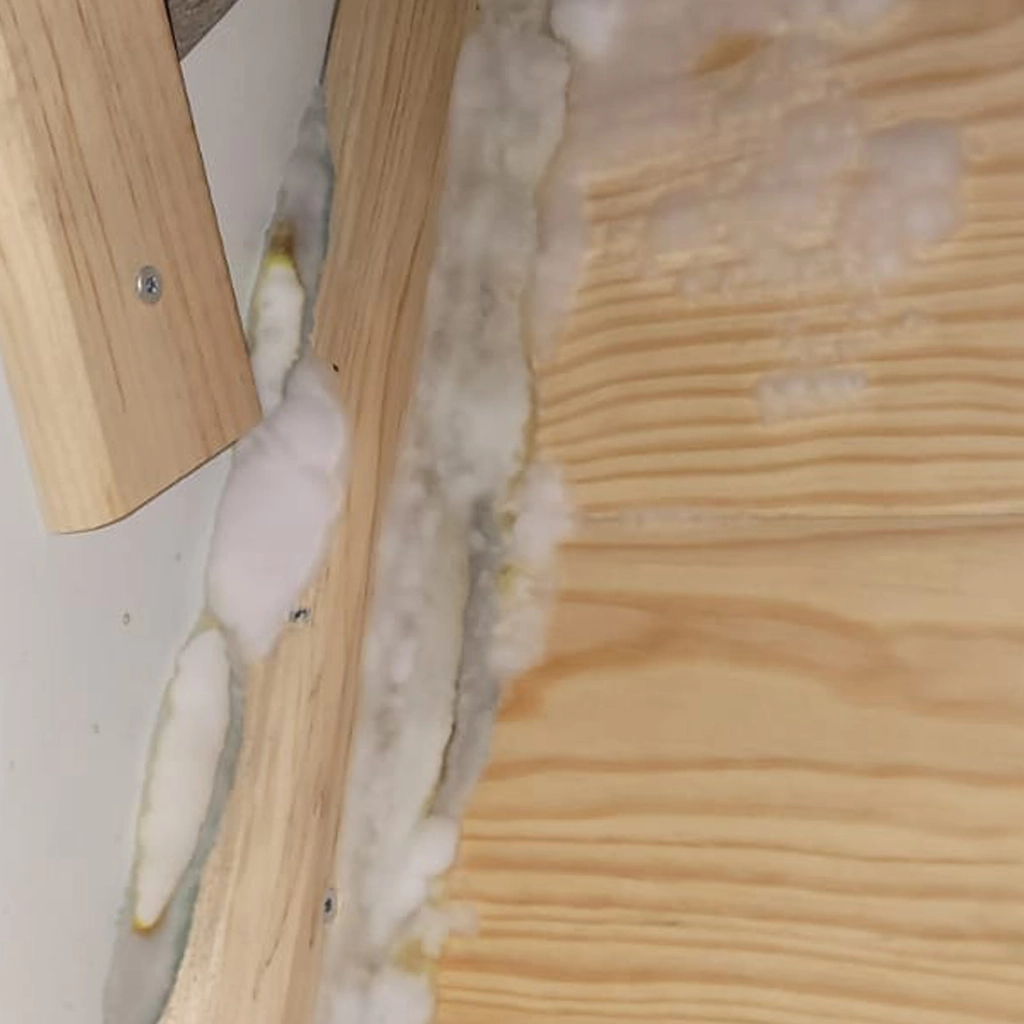 sporulation de mérule