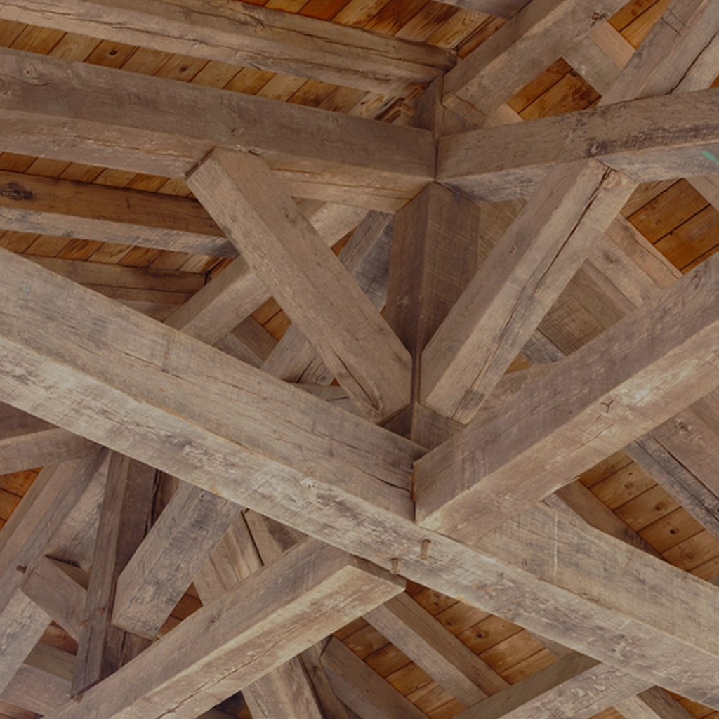 Traitement mérule Lanester