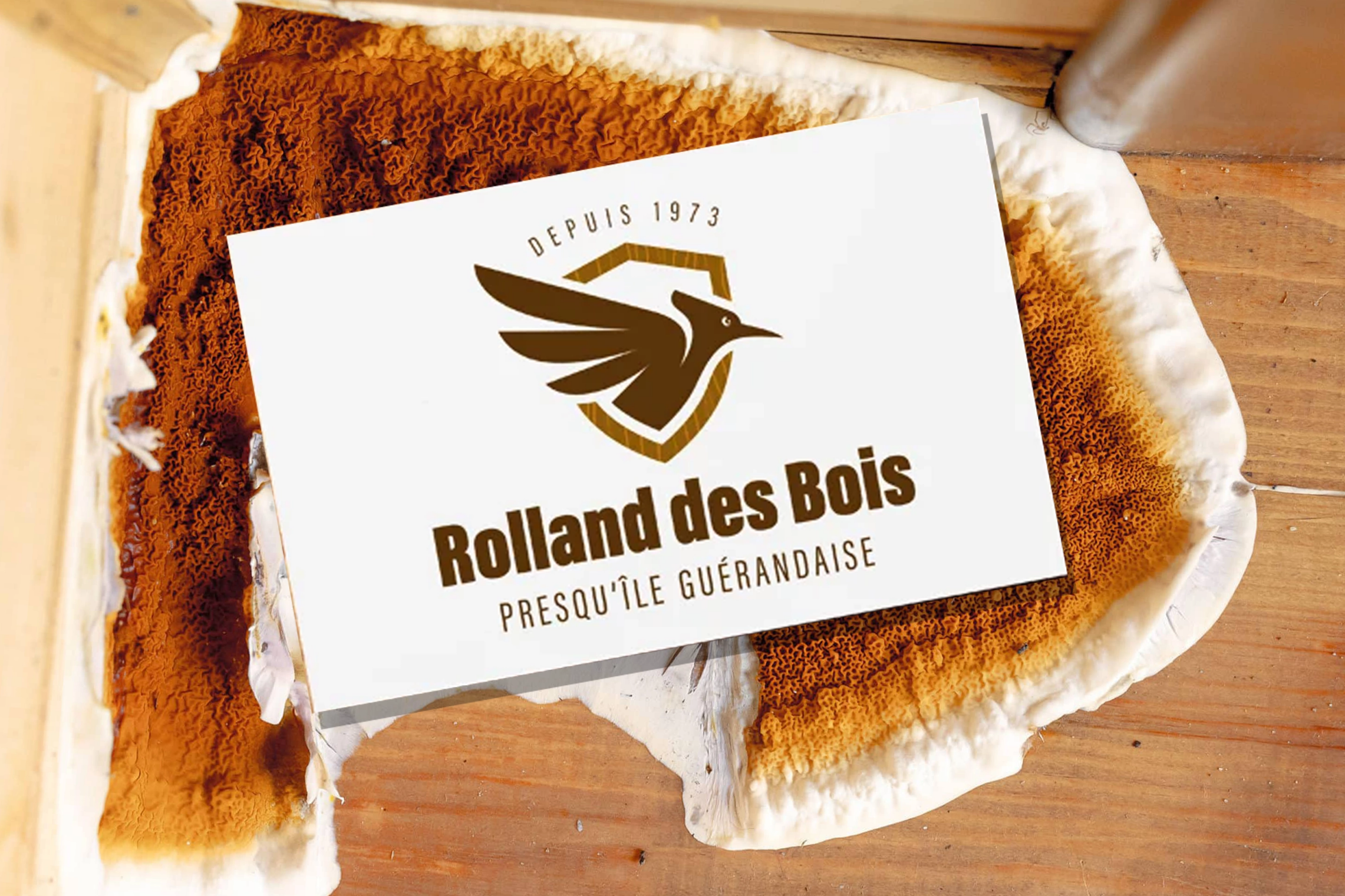 traitement mérule charpente Auray