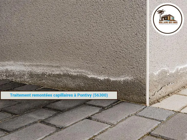 Traitement d’humidité ascensionnelle dans le Morbihan à Pontivy 56300, traitement effectué par Rolland des Bois.