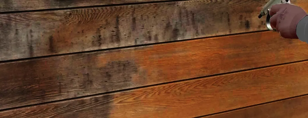 sablage rolland des bois