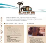 ROLLAND DES BOIS MÉRULES